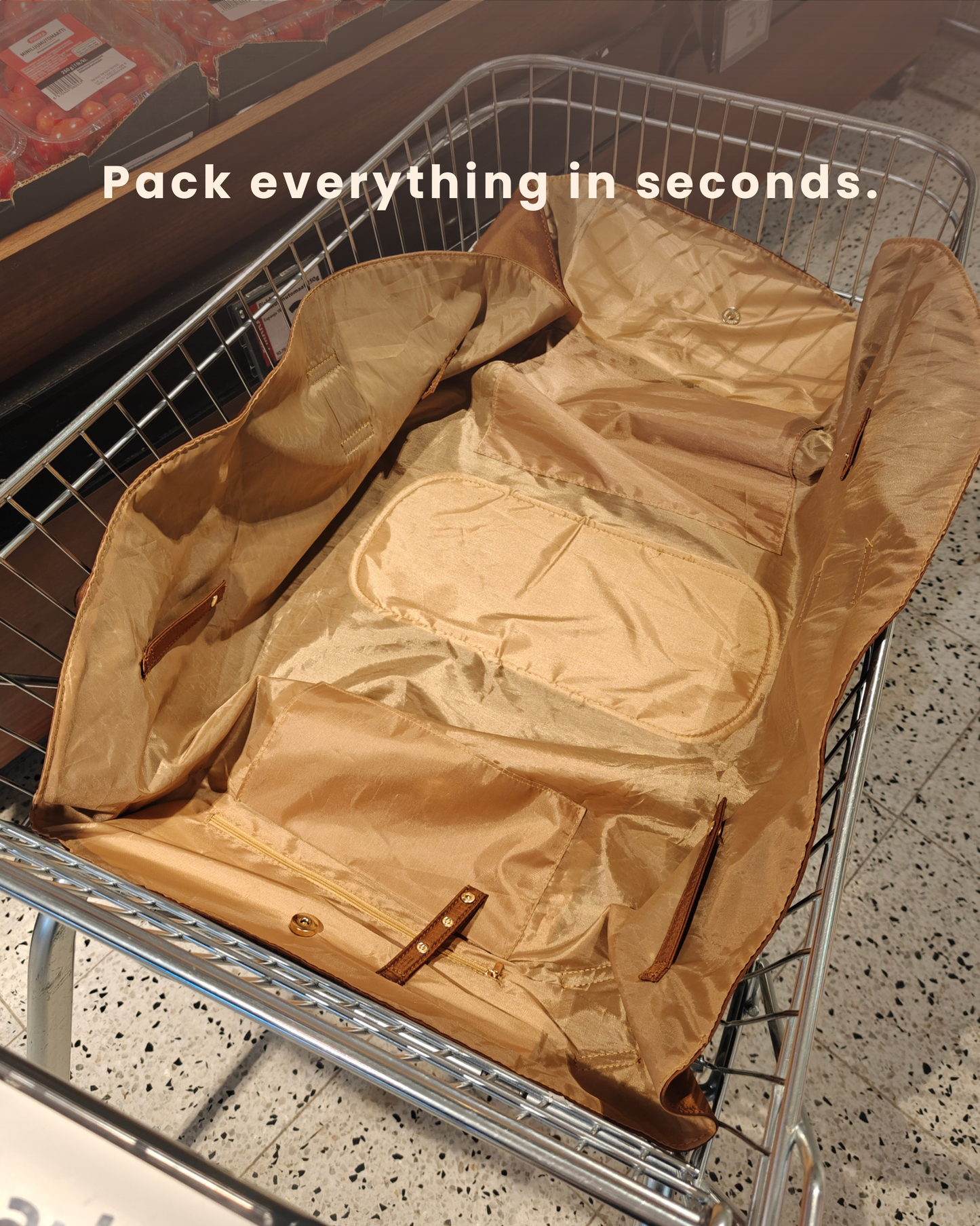 THE TOTES BAG 2 in 1